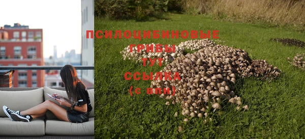 MDMA Premium VHQ Козельск