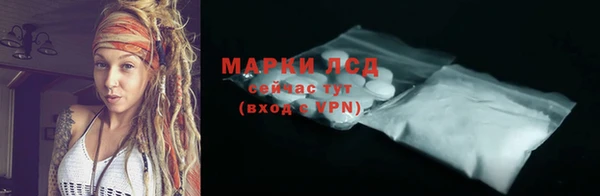 PSILOCYBIN Кодинск