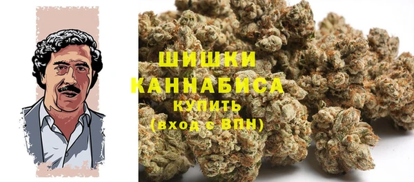 PSILOCYBIN Кодинск