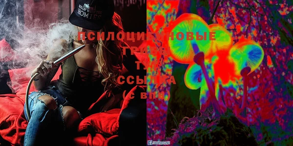 MDMA Premium VHQ Козельск