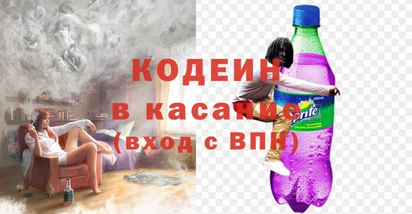 шишки Корсаков