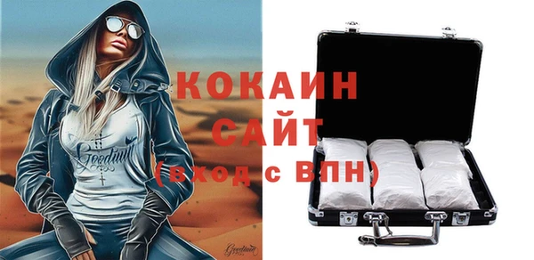 стаф Заполярный