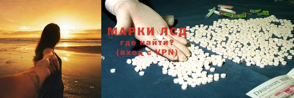 PSILOCYBIN Кодинск