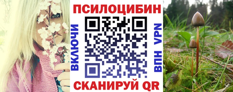 Псилоцибиновые грибы Magic Shrooms  где купить наркотик  Людиново 